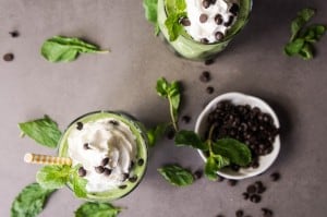 Chocolate Chip Mint Smoothie