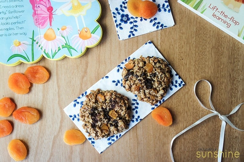 Dark Chocolate Apricot Lactation Cookies + New Arrivals!
