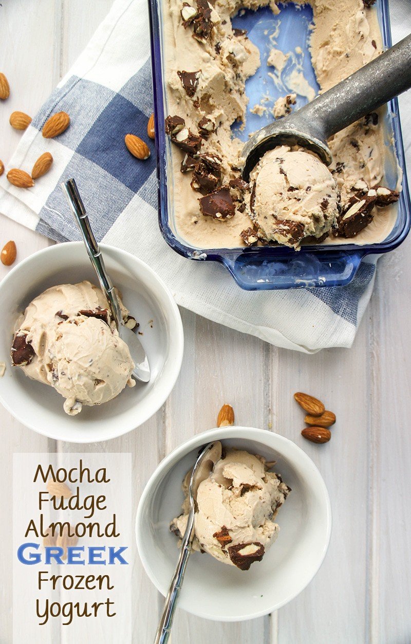 Mocha Fudge Almond Greek Frozen Yogurt shown in two bowls with spoons.