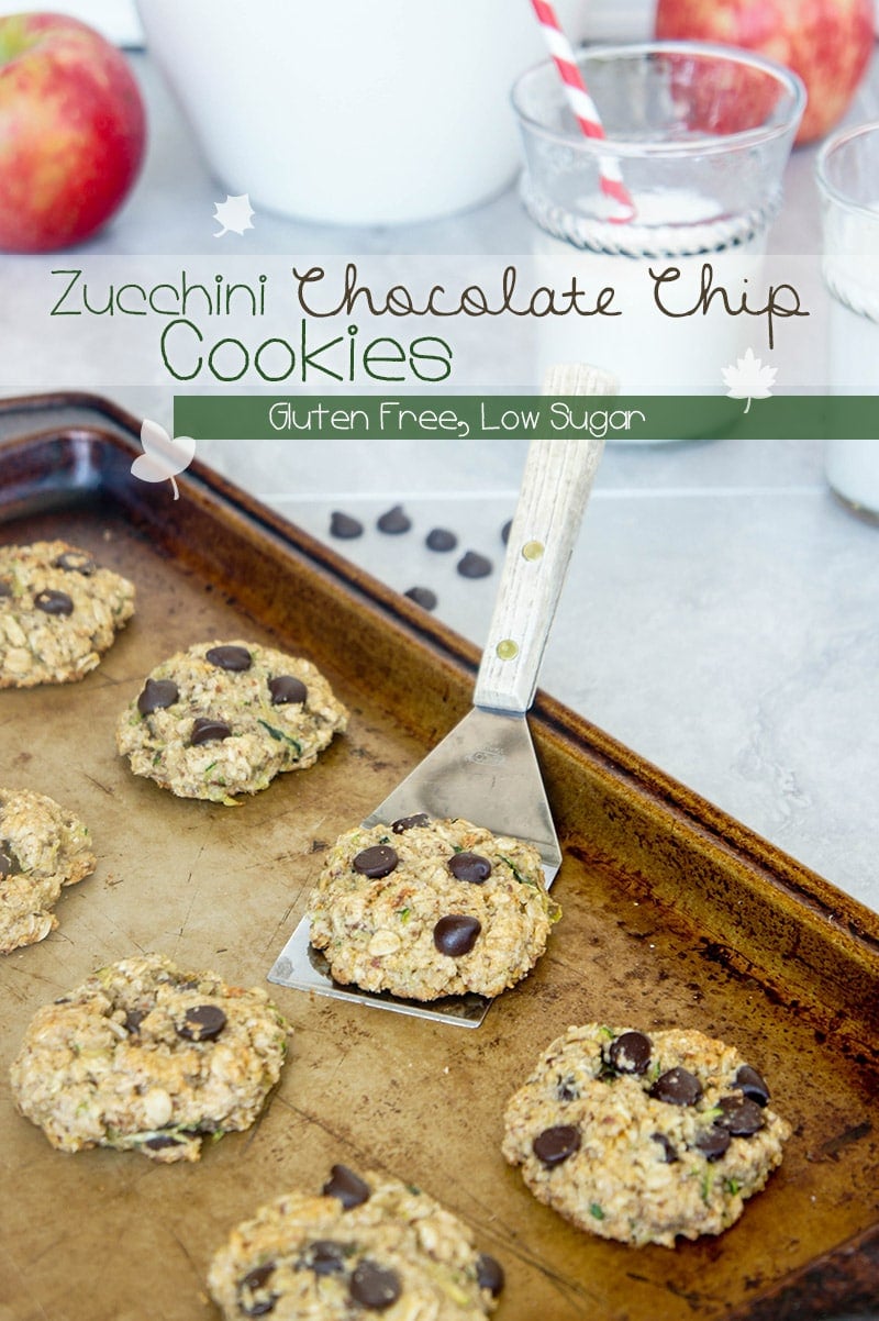 Zucchini Chocolate Chip Cookies / These gluten-free, low-sugar cookies are the perfect after school snack. Kid approved!