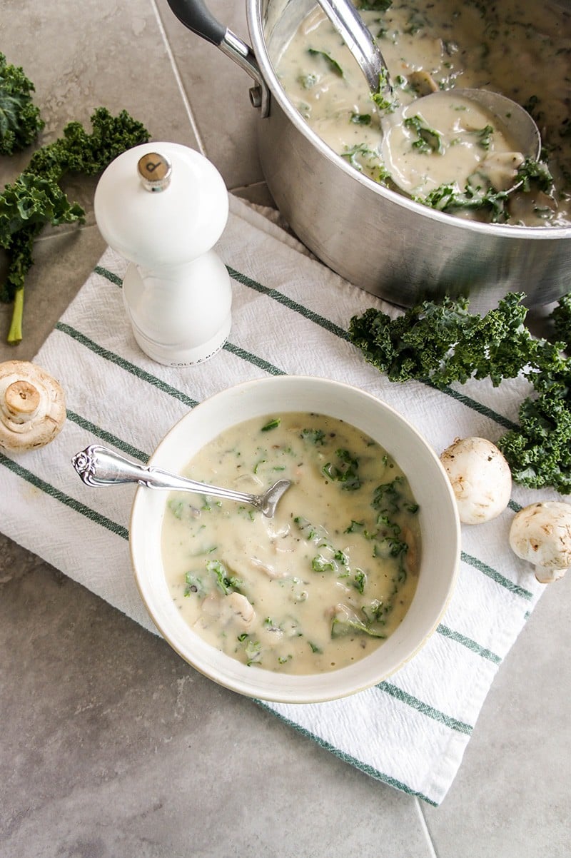 Dairy Free Cream of Mushroom Soup (Vegan, Paleo & Gluten-Free)