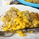 A plate of macaroni and cheese with a broccoli and bread crumb topping.
