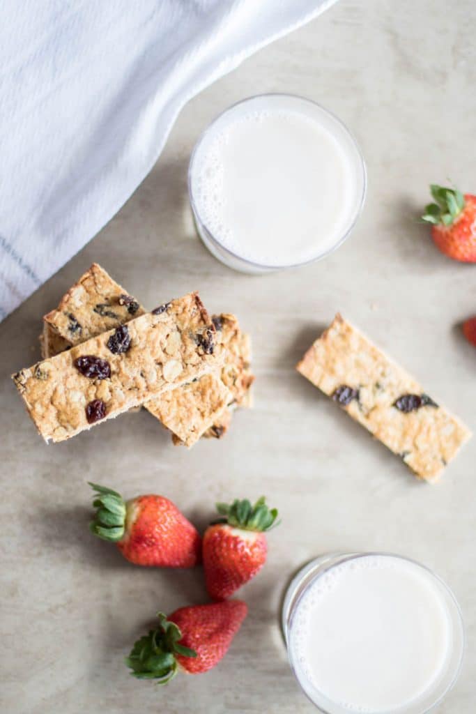 Oatmeal Raisin Cookie Protein Bars / The perfect on-the-go snack or breakfast. Healthy ingredients, fast to make!