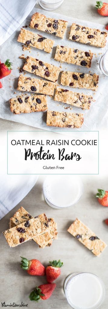 Oatmeal Raisin Cookie Protein Bars / The perfect on-the-go snack or breakfast. Healthy ingredients, fast to make!