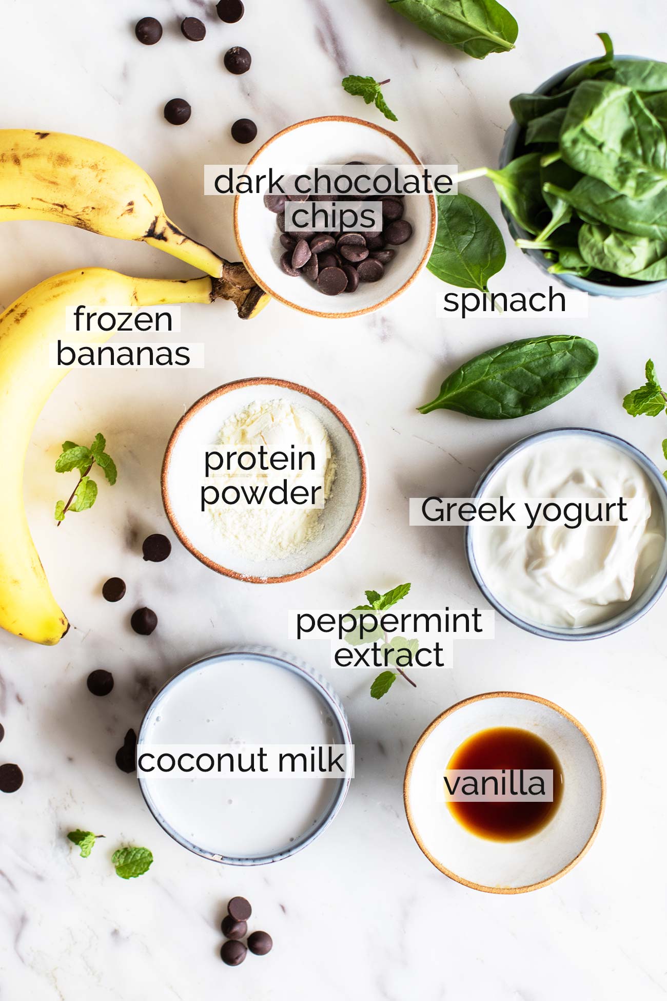 Dreamy Chocolate Chip Mint Smoothie Sunkissed Kitchen