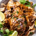 A close up look at a bowl of crockpot chicken mole with sesame seeds and red onions.