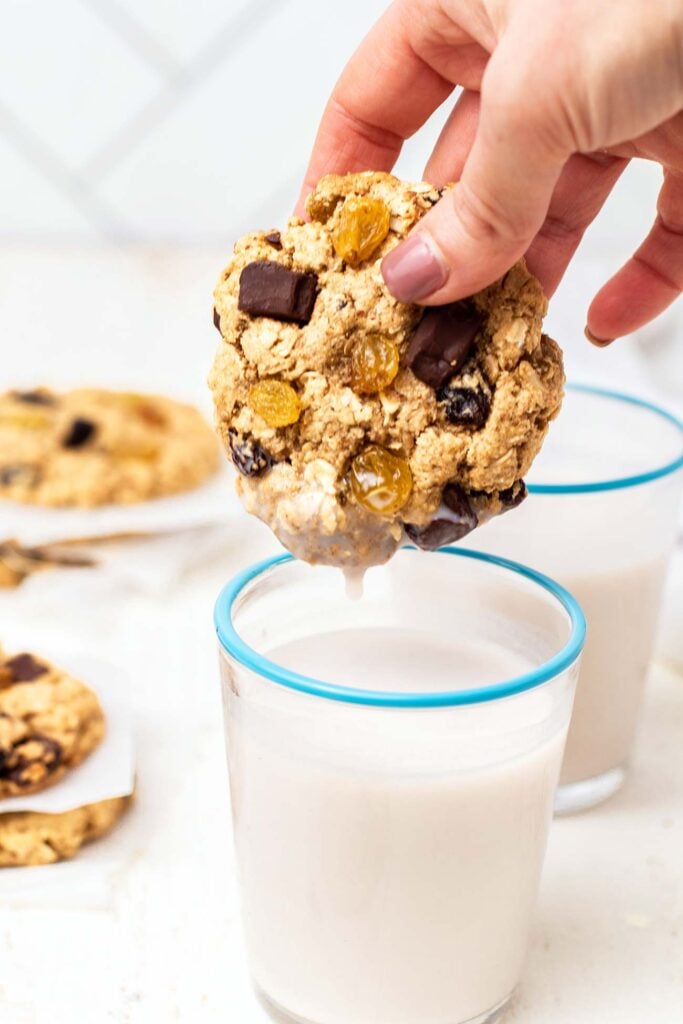 A big gluten free oatmeal raisin cookie being dipped in a glass of almond milk.