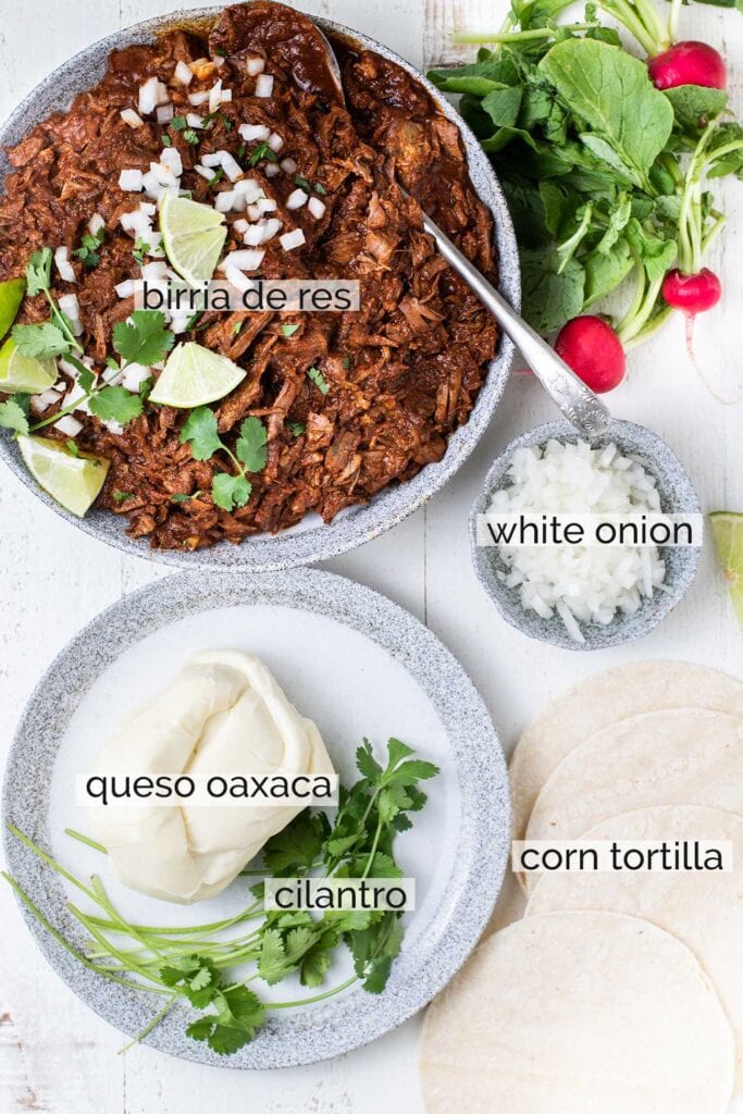 The ingredients needed to make beef birria tacos.
