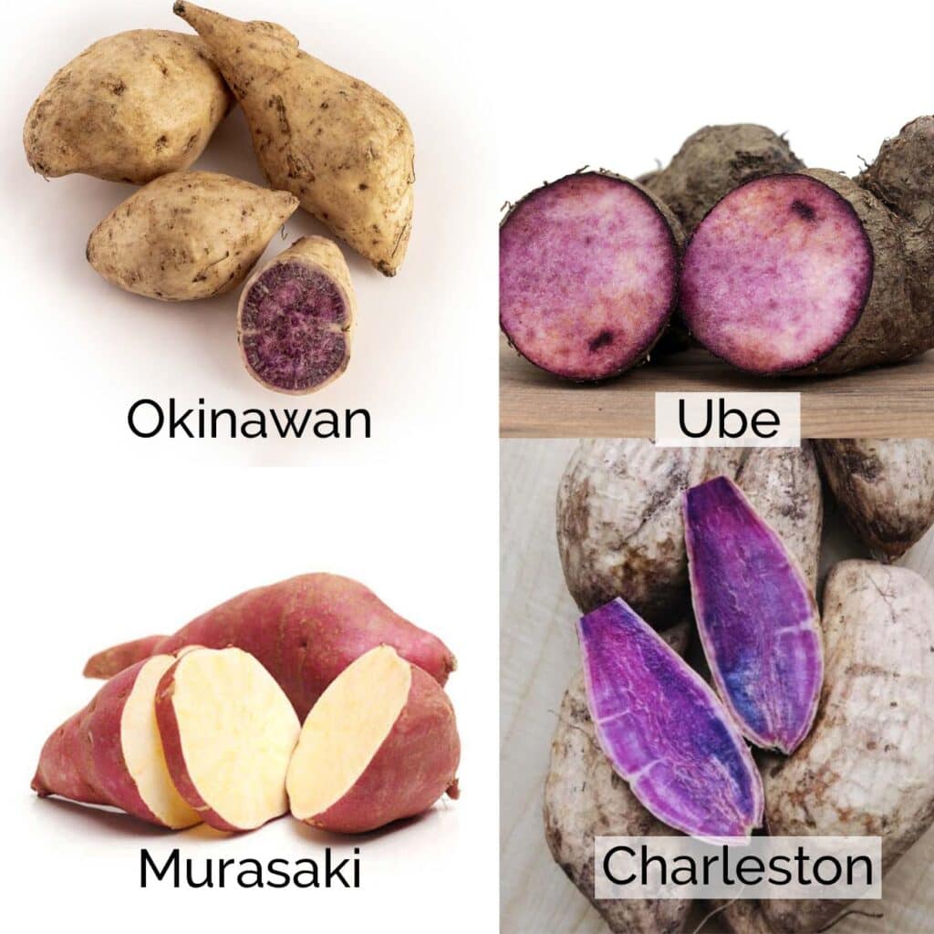 A image showing what 4 varieties of purple sweet potatoes look like.