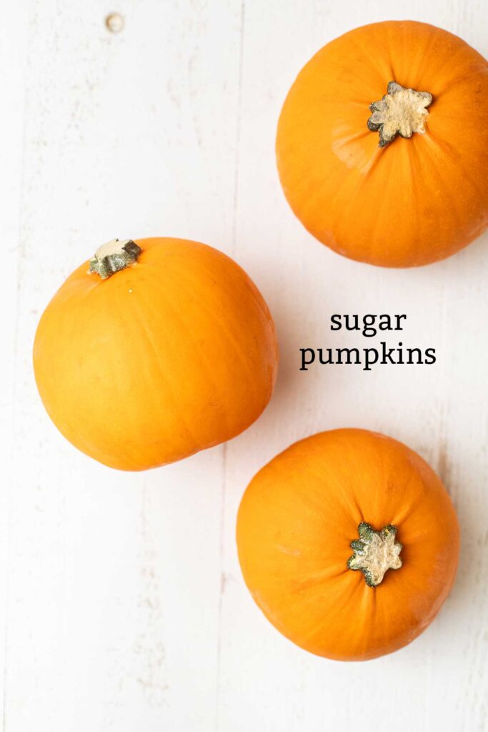 Three sugar pumpkins shown whole.