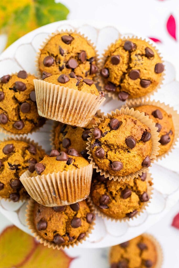 Muffins cooling on a stand.