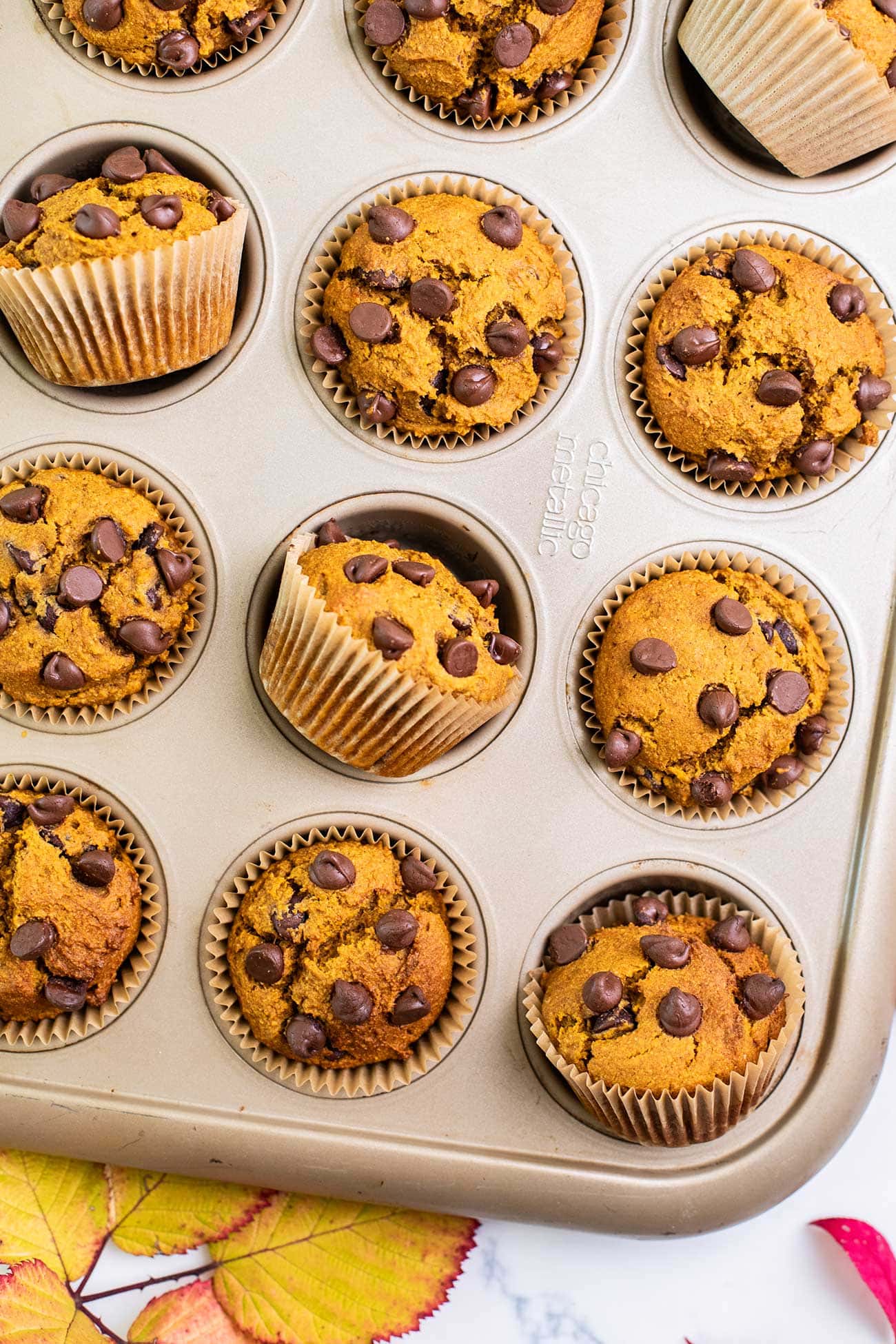 A muffin tin showing baked healthy pumpkin chocolate chip muffins.