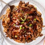 A white plate with bbq pulled pork garnished with green onions.