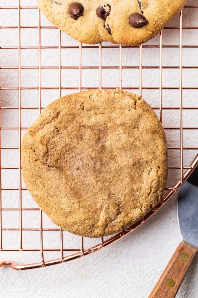 A gingersnap protein cookie on a cooling rack.