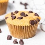 A chocolate chip muffin shown studded with lots of dark chocolate chips.