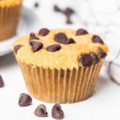 A chocolate chip muffin shown studded with lots of dark chocolate chips.