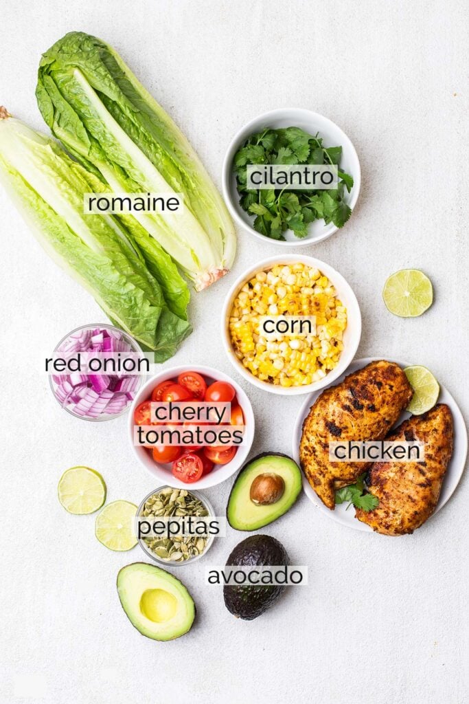 Ingredients needed to make a Mexican Chicken Salad.