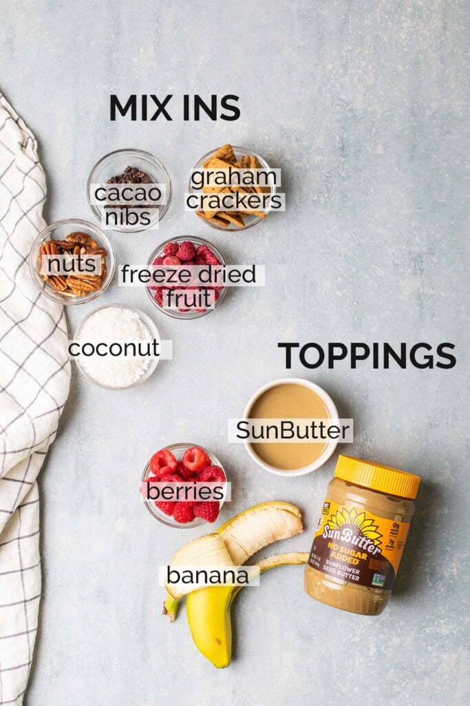 Topping and mix-in suggestions for ninja creami protein ice cream.