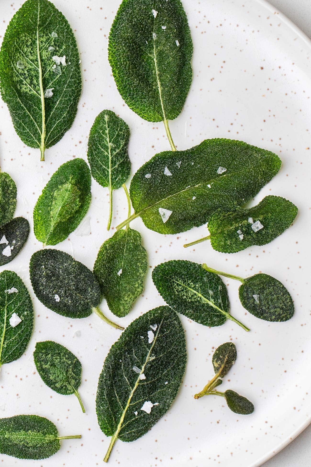 Fried sage leaves on a white plate shown garnished with flaky salt.