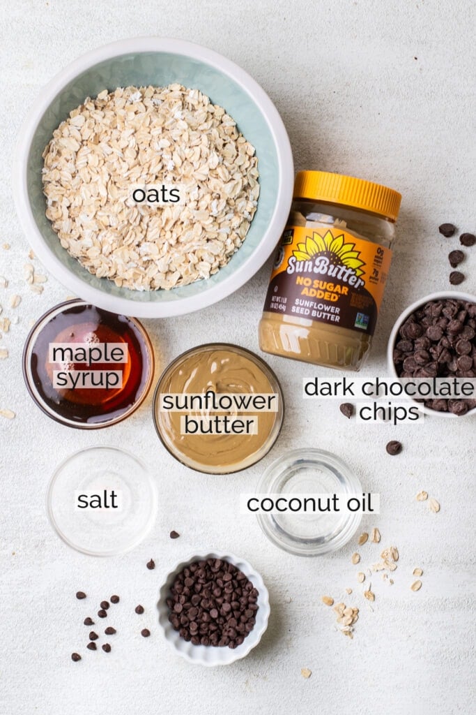 The ingredients needed to make no bake chocolate oat bars.