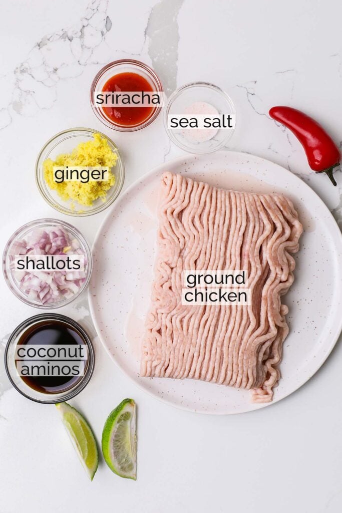 The ingredients needed to make a spicy ginger chicken.