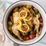 A whole roasted chicken in a dutch oven with lemon slices on top.